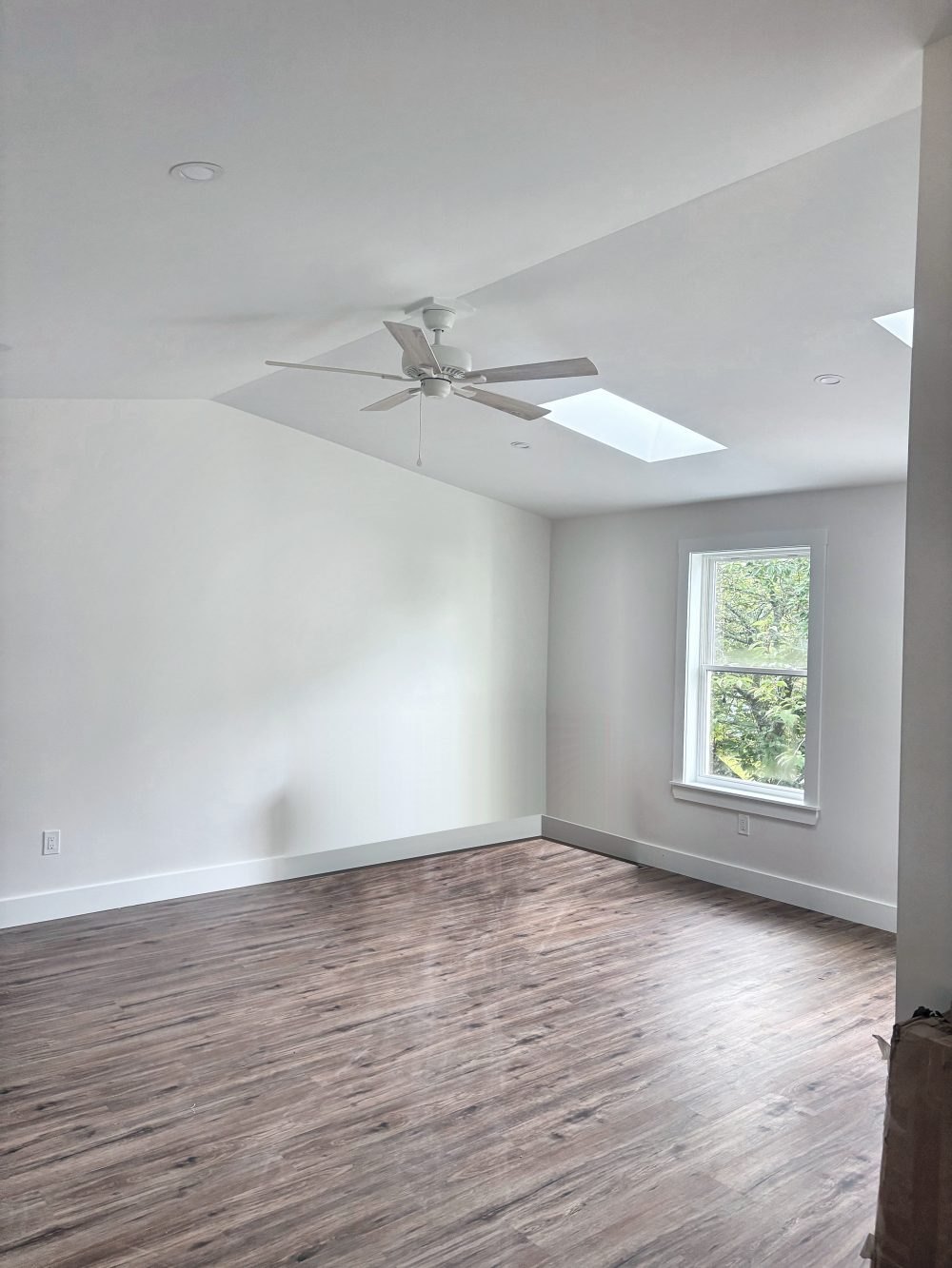 ADU living room — cathedral ceiling and two skylights